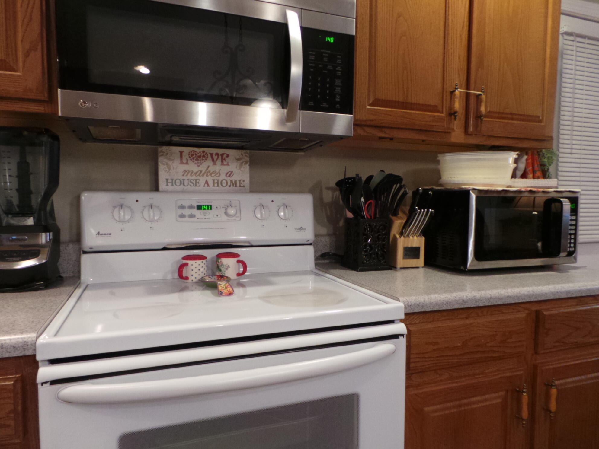 169 Laurel View Road Jonesborough, TN 37659 - Photo 96 of 159 CALLING ALL COOKS