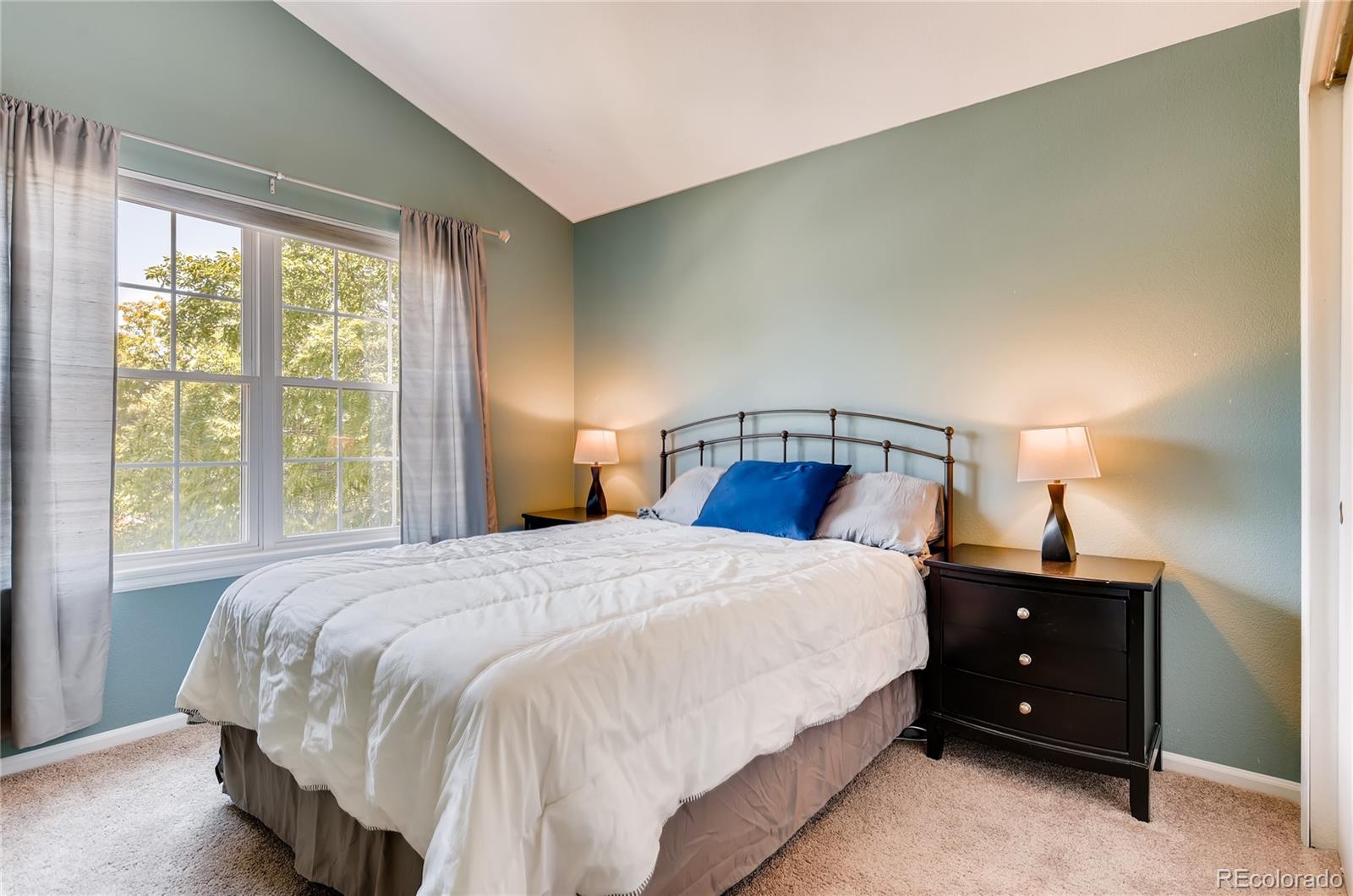 9925 Spring Hill Street Highlands Ranch, CO 80129 - Photo 19 of 28