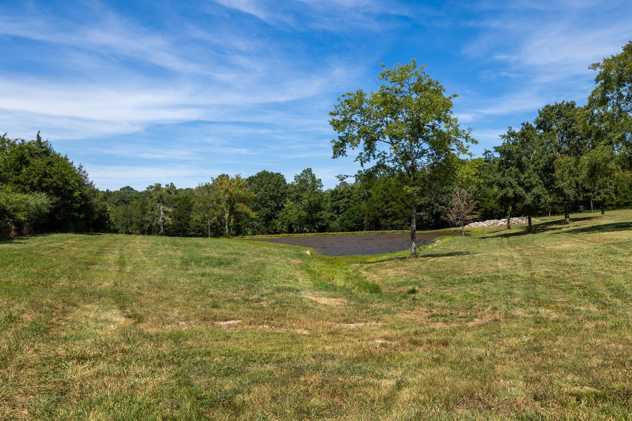 8362 Patterson Road College Grove, TN 37046 - Photo 11 of 27 a view of a yard with a tree
