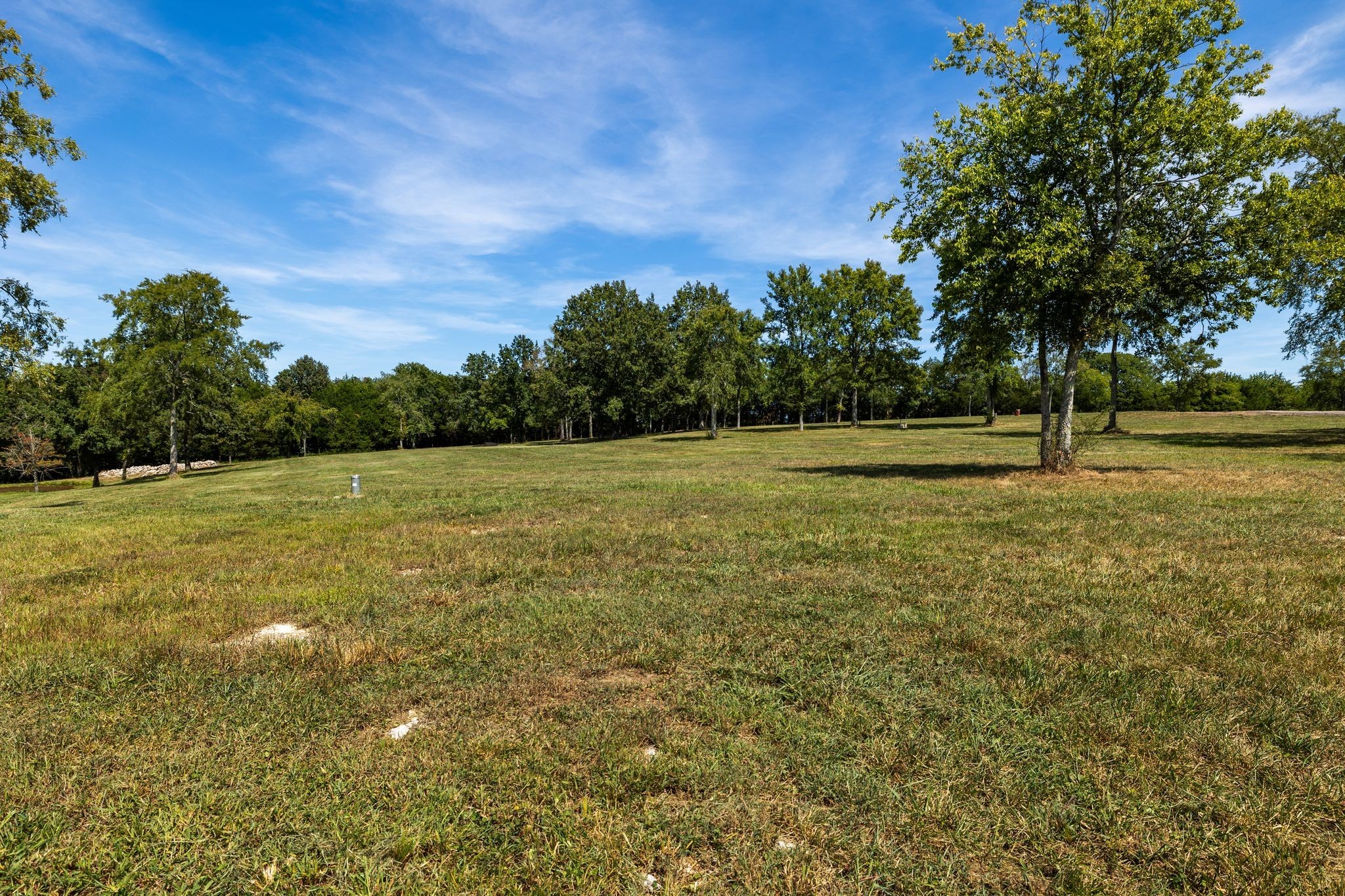 8362 Patterson Road College Grove, TN 37046 - Photo 12 of 27 a view of outdoor space with deck and trees