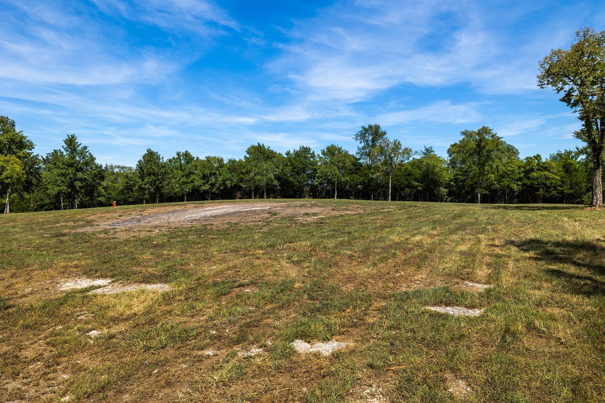 8362 Patterson Road College Grove, TN 37046 - Photo 14 of 27 a view of a field with trees in the background