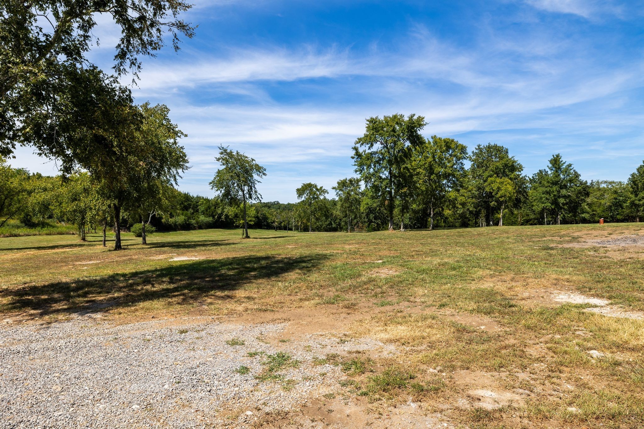 8362 Patterson Road College Grove, TN 37046 - Photo 16 of 27 a view of a yard