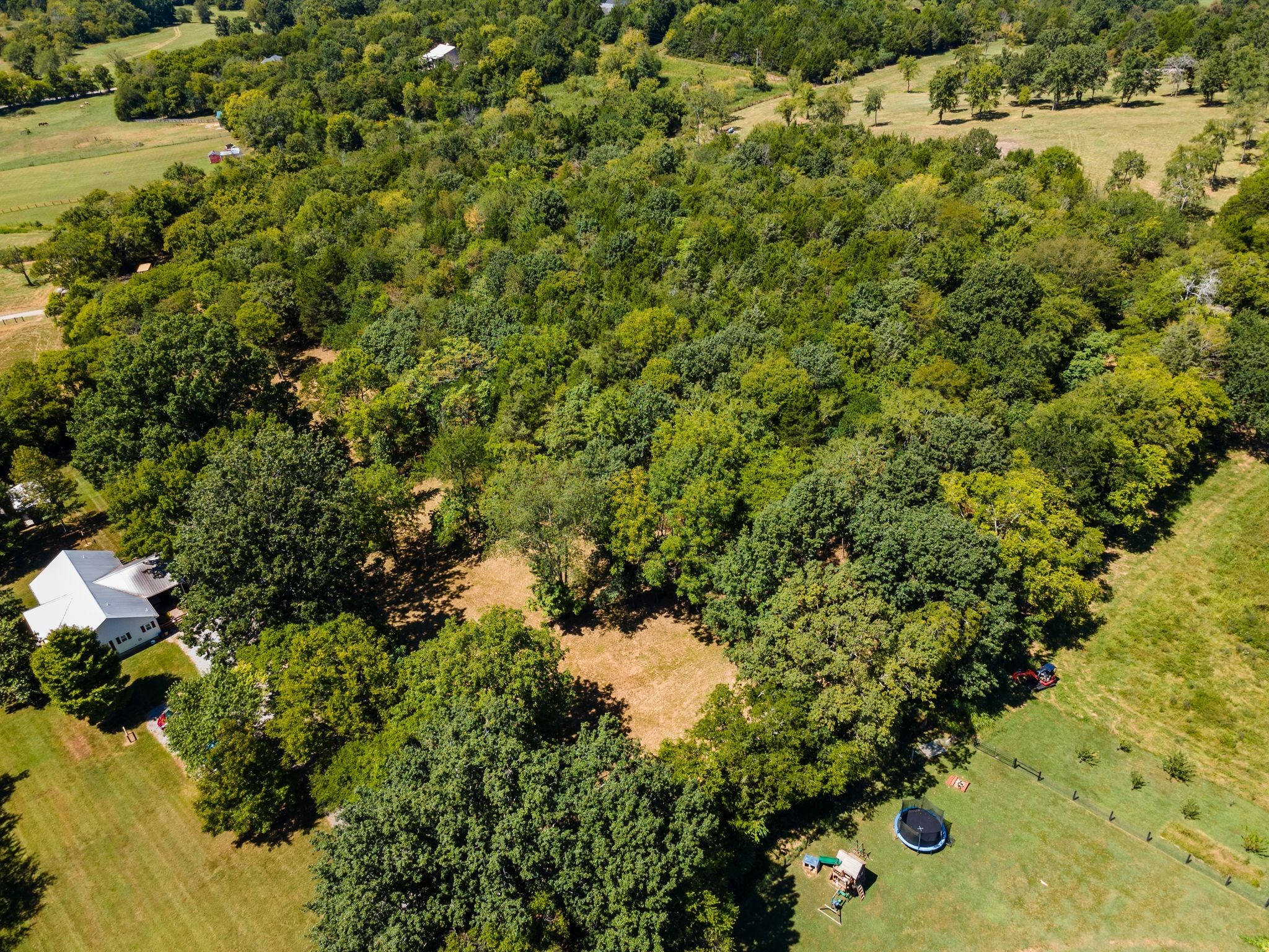 8362 Patterson Road College Grove, TN 37046 - Photo 17 of 27 a view of a yard with a tree