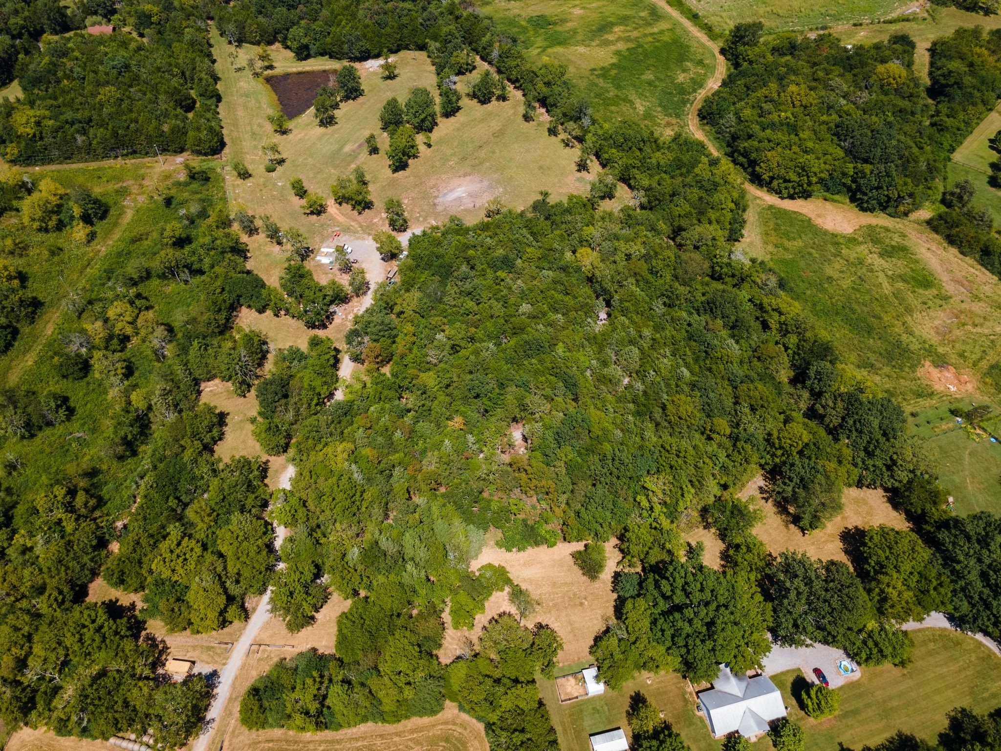 8362 Patterson Road College Grove, TN 37046 - Photo 6 of 27 a view of a tree with a yard