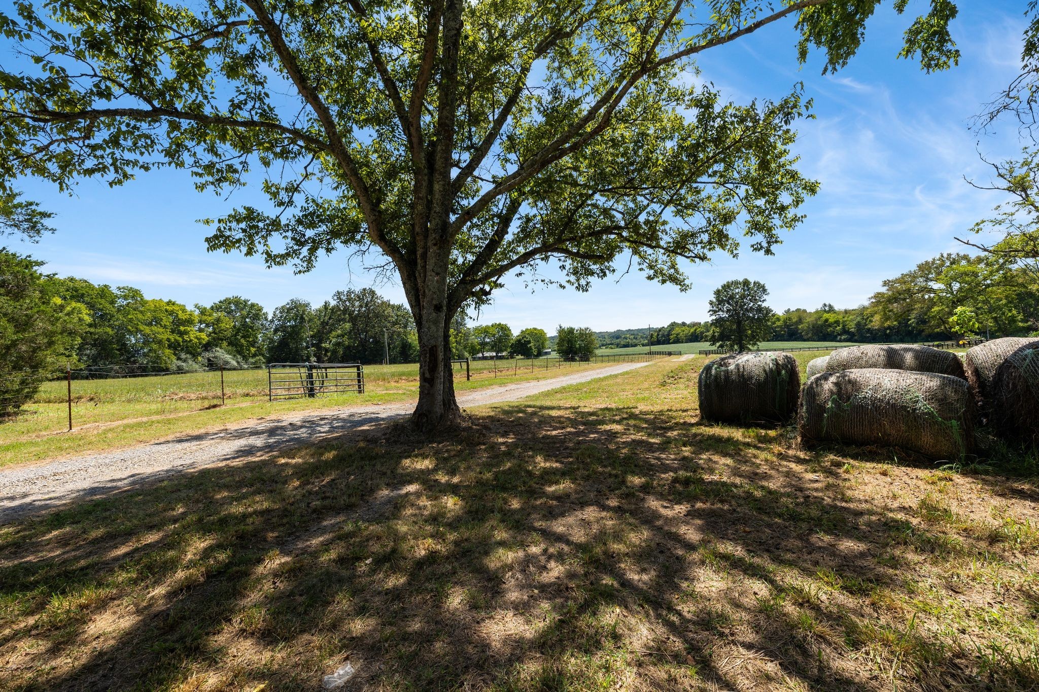 8362 Patterson Road College Grove, TN 37046 - Photo 7 of 27 a view of backyard with swimming pool and outdoor seating