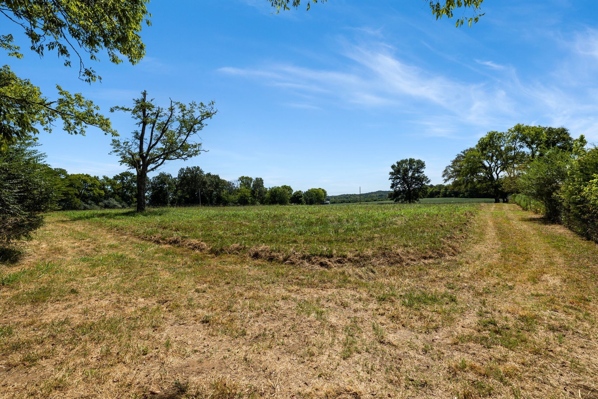 8362 Patterson Road College Grove, TN 37046 - Photo 9 of 27