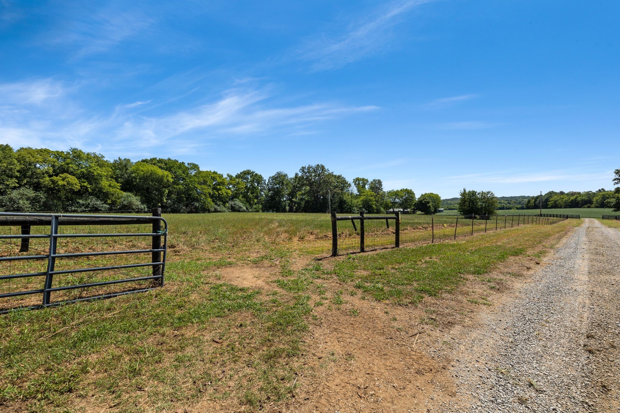 8362 Patterson Road College Grove, TN 37046 - Photo 10 of 27 a view of a park with large trees