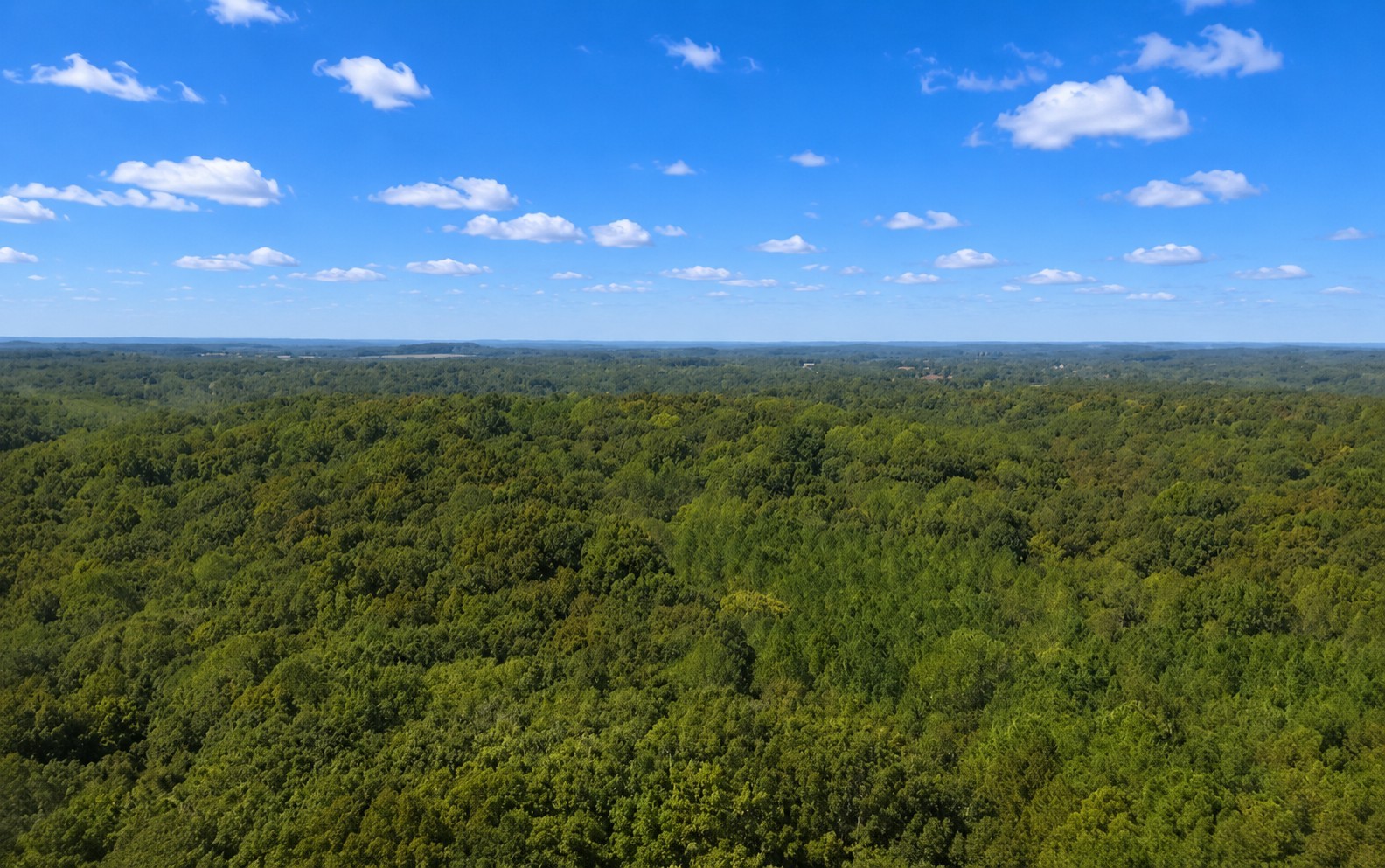 a view of a city with lots of green space