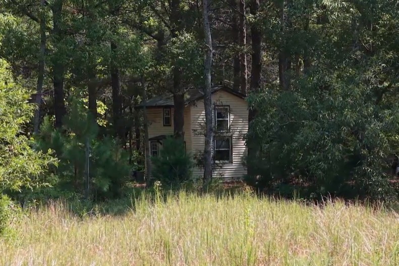 138 Vaughn Road Charlotte, TN 37036 - Photo 12 of 22 a view of a garden