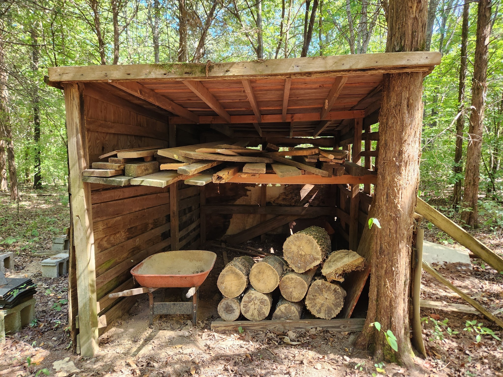 138 Vaughn Road Charlotte, TN 37036 - Photo 14 of 22 a view of outdoor space