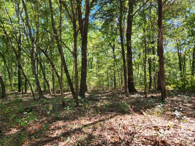 a view of wooden floor