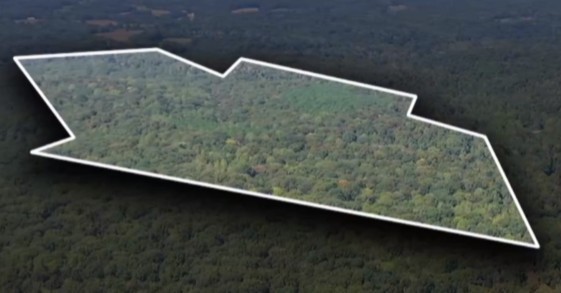 138 Vaughn Road Charlotte, TN 37036 - Photo 20 of 22 a view of wooden floor