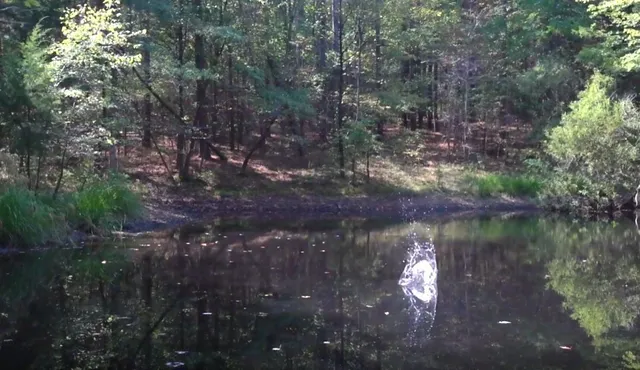 a view of a lake in between two of trees