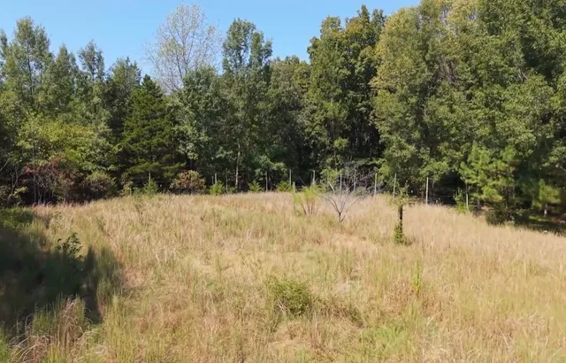 a view of a yard covered in snow