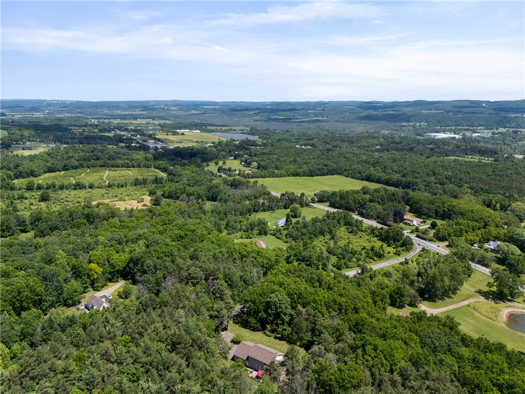 9052 Raspberry Hill Richmond, NY 14466 - Photo 41 of 50