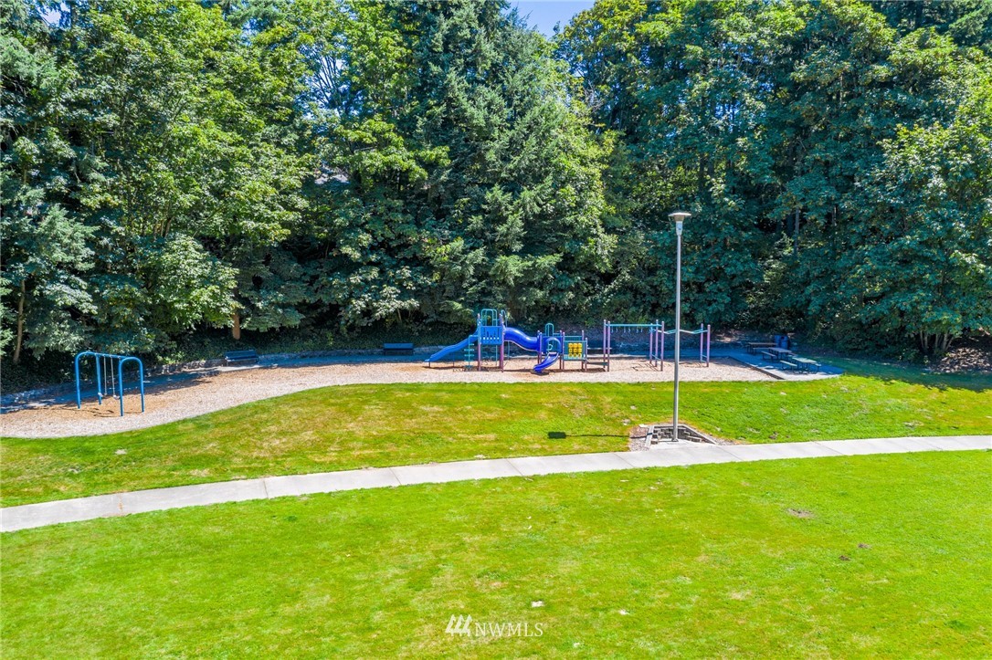 464 Bronson Way Northeast Renton, WA 98056 - Photo 25 of 25 a view of swimming pool with a yard and palm trees