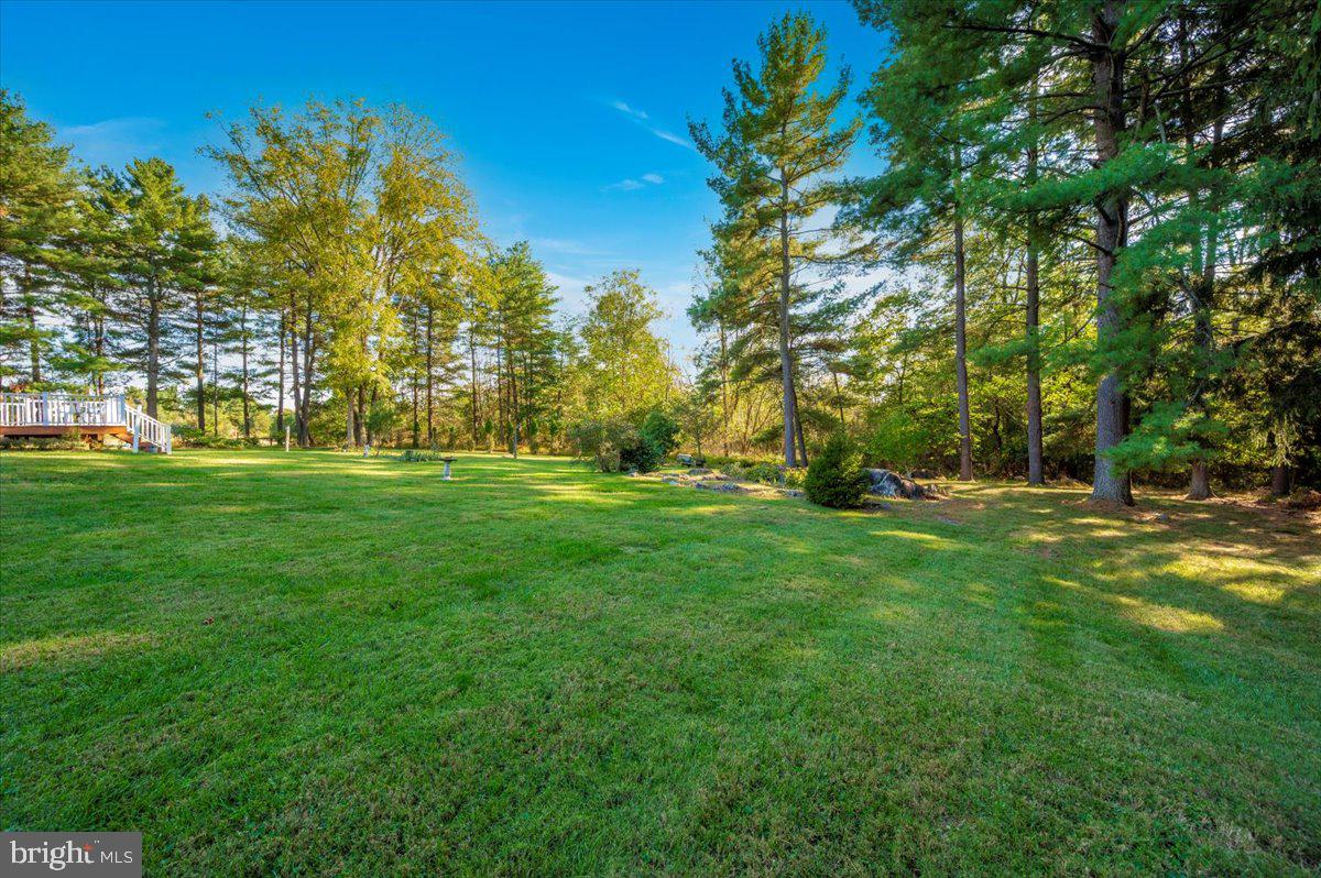 16627 Kendle Road Williamsport, MD 21795 - Photo 50 of 65 Gallery Image 50