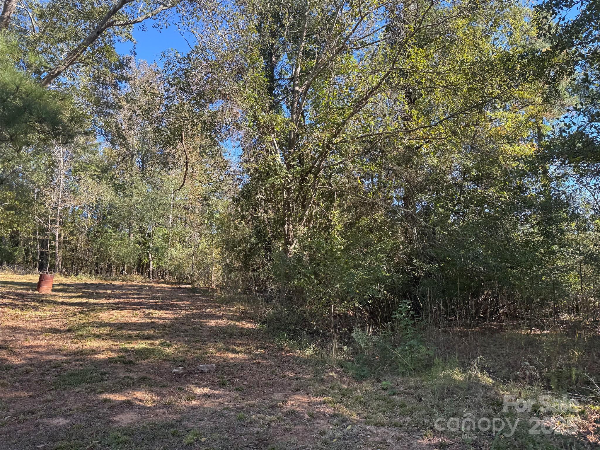 3960 State Rd S-28-414 Kershaw, SC 29067 - Photo 19 of 20 a view of outdoor space with trees