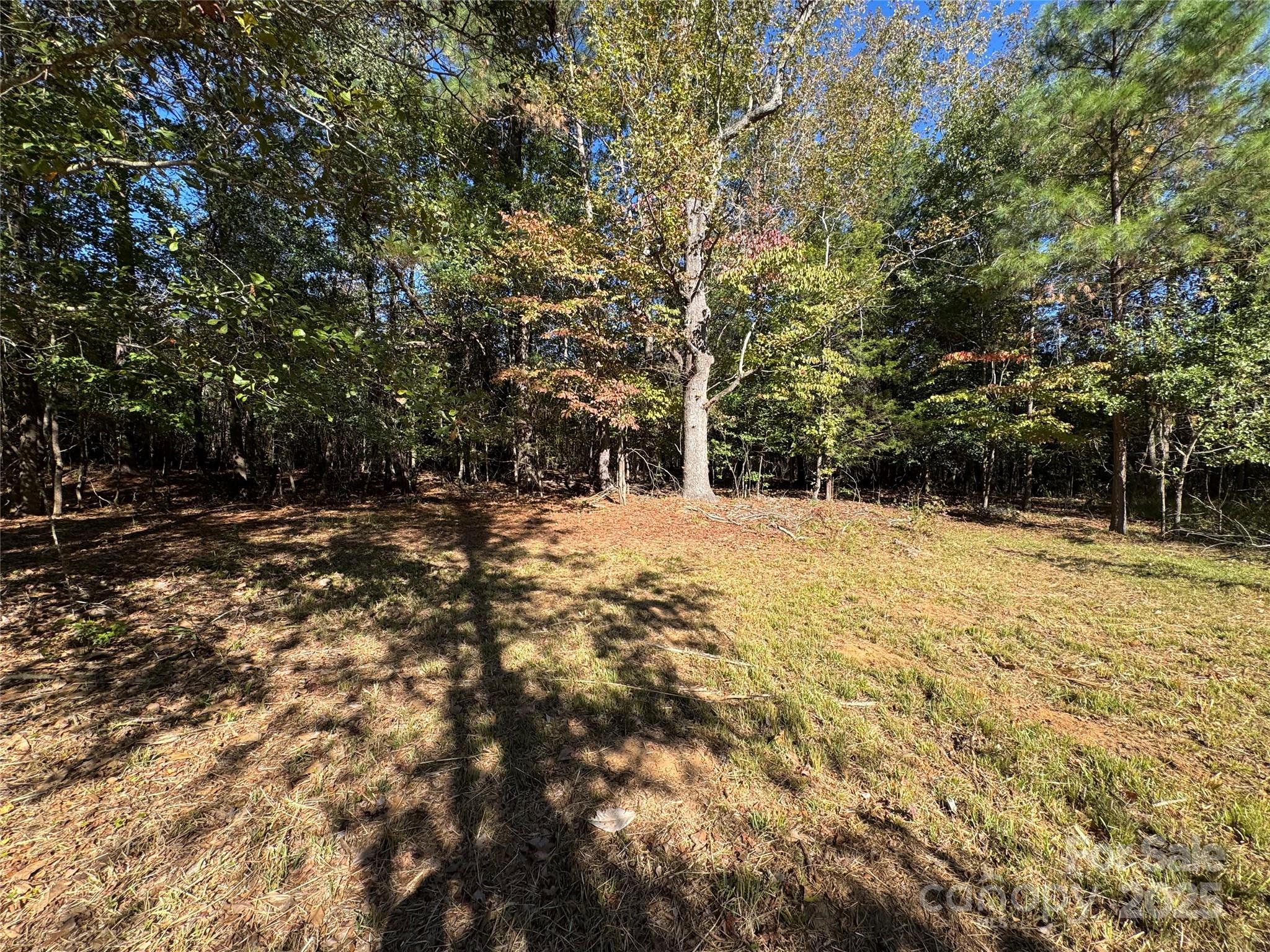 3960 State Rd S-28-414 Kershaw, SC 29067 - Photo 20 of 20 a backyard of a house with lots of green space