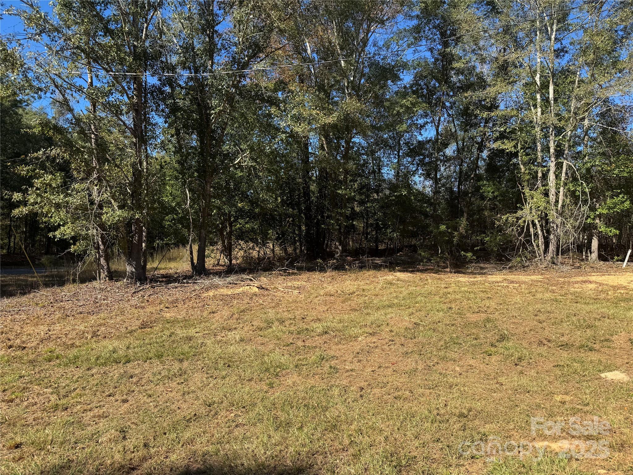 3960 State Rd S-28-414 Kershaw, SC 29067 - Photo 3 of 20 a view of large tree with large trees