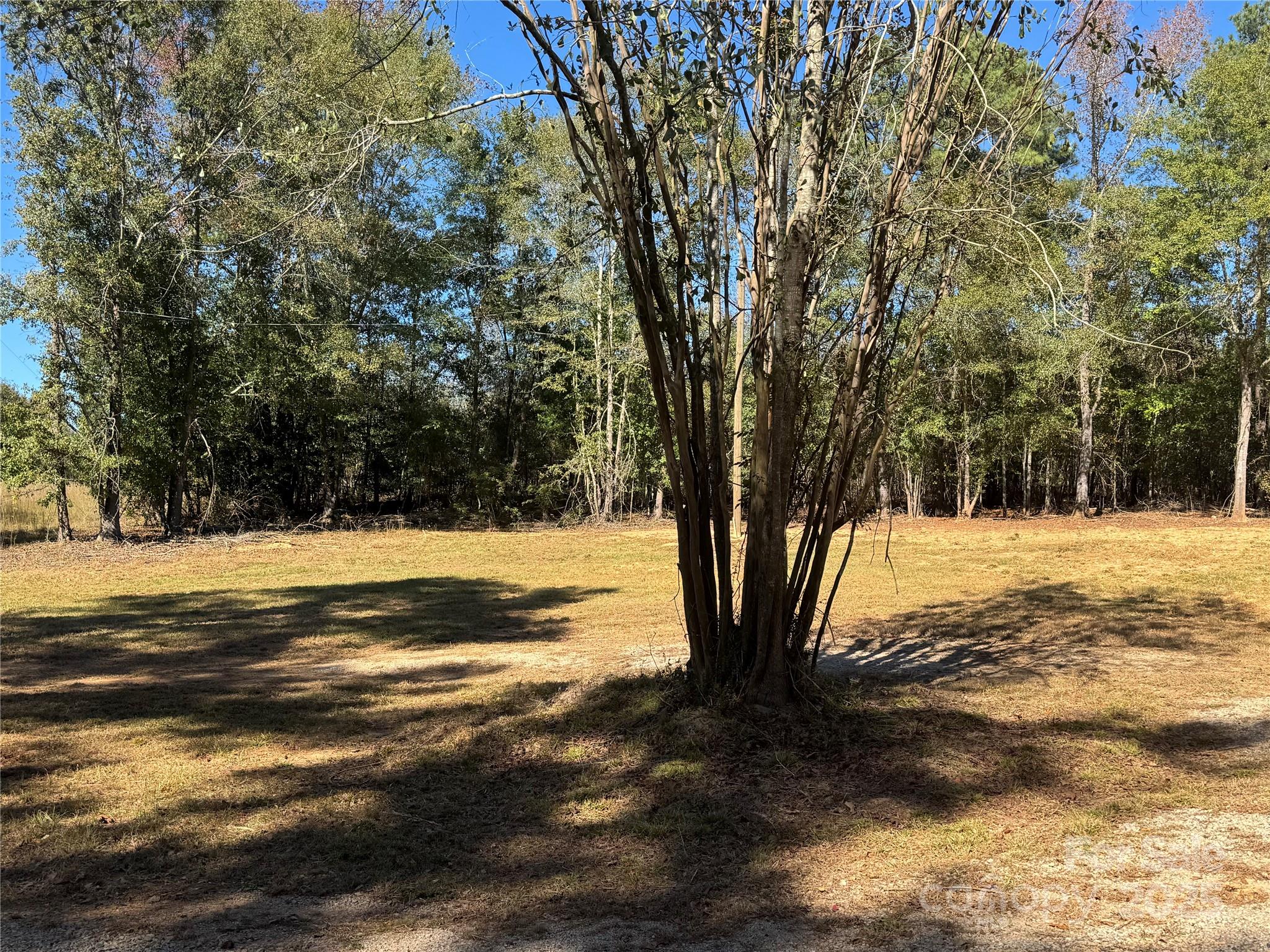 3960 State Rd S-28-414 Kershaw, SC 29067 - Photo 5 of 20 a view of yard covered with snow in back yard