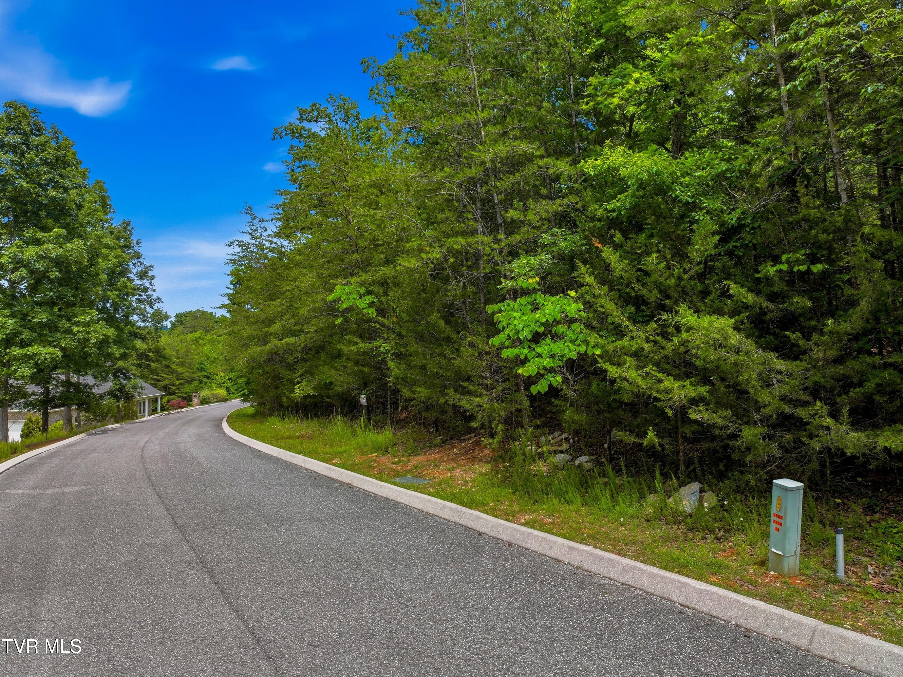 Lot 110 Eagles Ridge, Unit 110 Tazewell, TN 37879 - Photo 9 of 17 004-EaglesRidge-Tazewell-TN-37879-SMALL