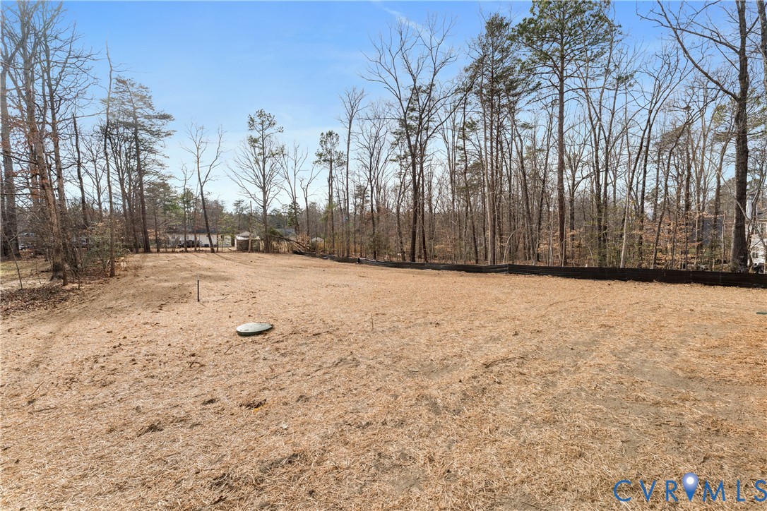887 Campers Lane Ruther Glen, VA 22546 - Photo 38 of 42 a view of yard with trees