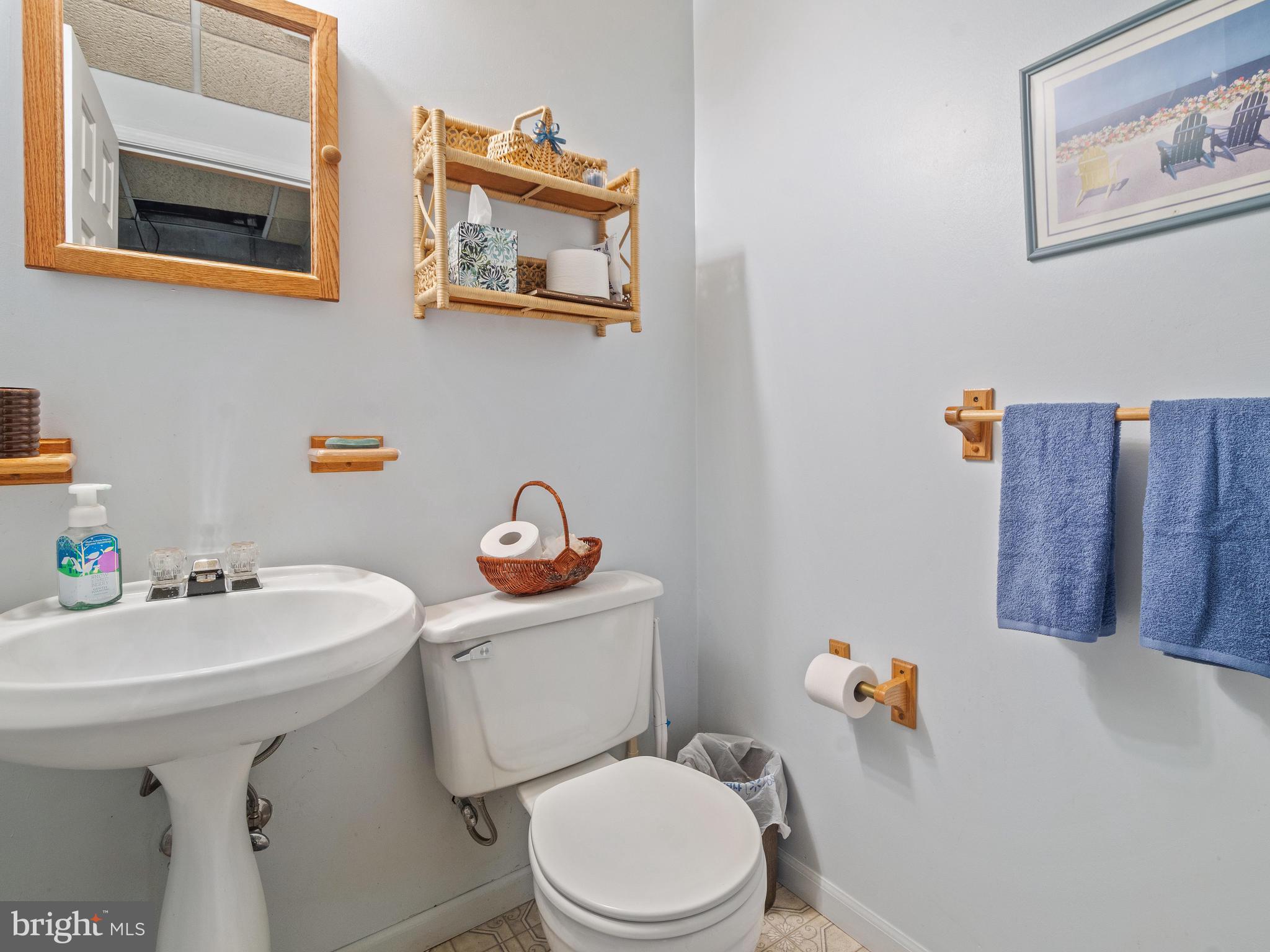 6627 Wind Ridge Road Mount Airy, MD 21771 - Photo 28 of 33 Basement Half Bathroom