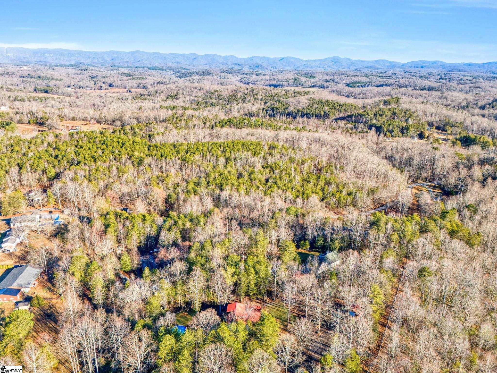 150 Pleasant Retreat Road Travelers Rest, SC 29690 - Photo 35 of 36