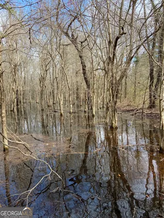 $110,000 | 0 Mamie Graham Road, East Dublin, GA 31027