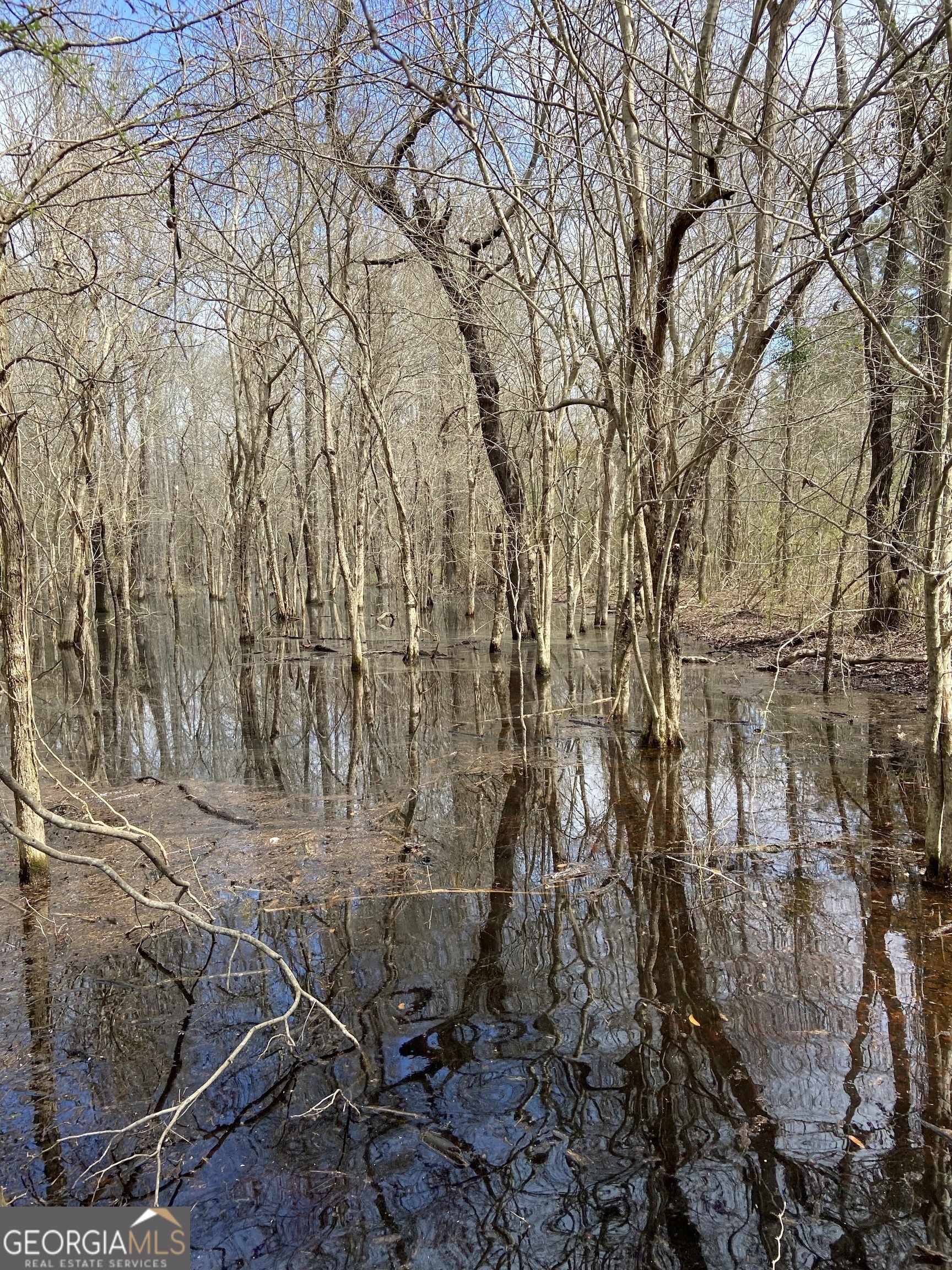 0 Mamie Graham Road East Dublin, GA 31027 - Photo 11 of 14 a backyard of a house with lots of green space