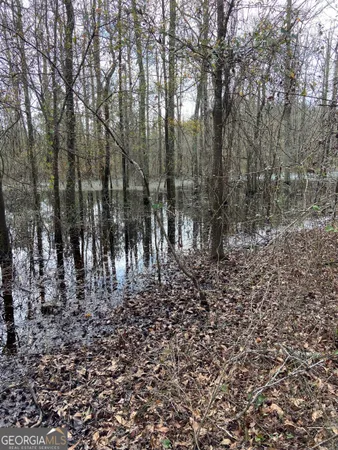 $110,000 | 0 Mamie Graham Road, East Dublin, GA 31027