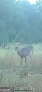 0 Mamie Graham Road East Dublin, GA 31027 - Photo 13 of 14 a bathroom with a shower