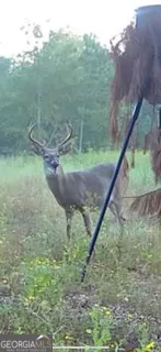 a view of a lake view
