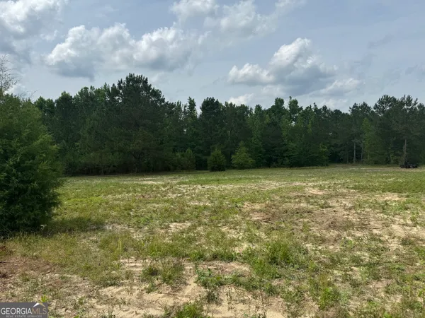 $110,000 | 0 Mamie Graham Road, East Dublin, GA 31027