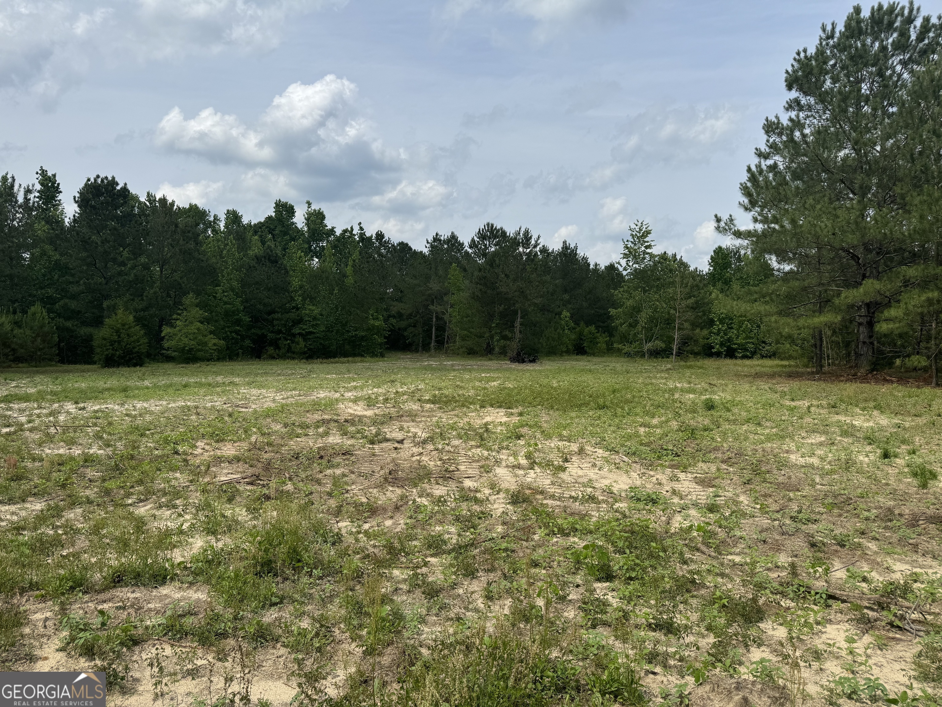 0 Mamie Graham Road East Dublin, GA 31027 - Photo 5 of 14 a view of a field with trees in the background