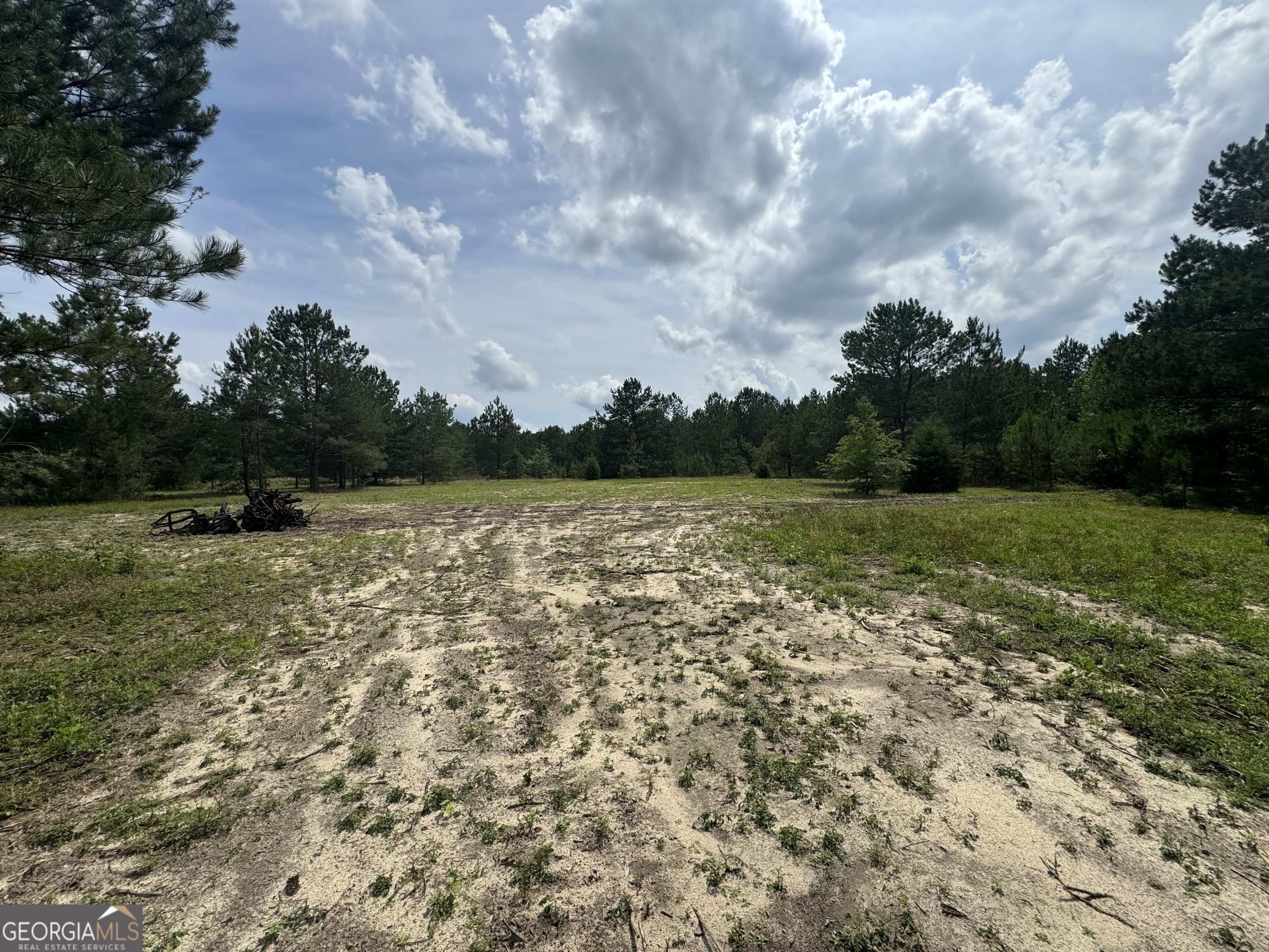 0 Mamie Graham Road East Dublin, GA 31027 - Photo 6 of 14 a view of a lake with houses in the back