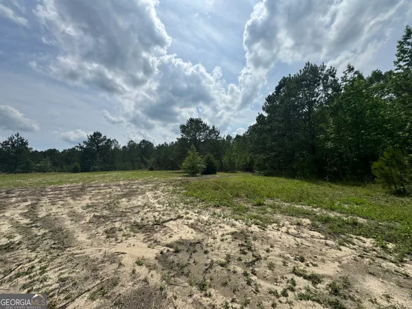 $110,000 | 0 Mamie Graham Road, East Dublin, GA 31027