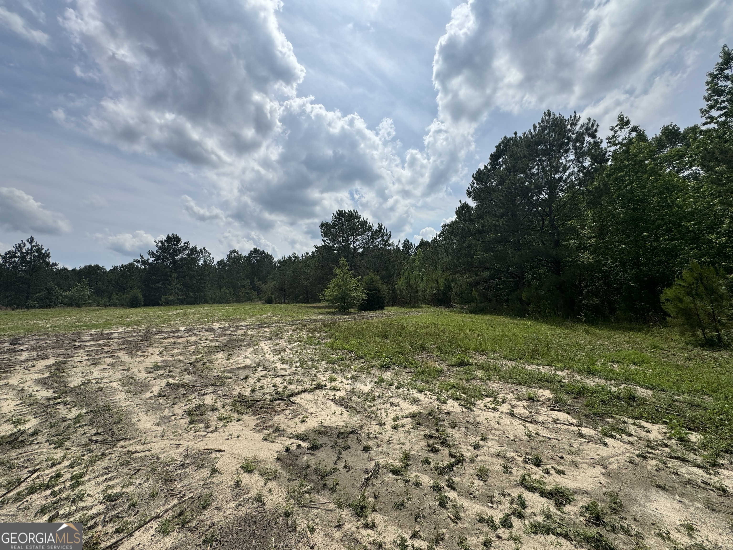 0 Mamie Graham Road East Dublin, GA 31027 - Photo 7 of 14 a view of outdoor space and yard