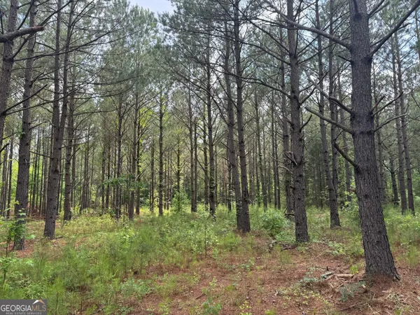 $110,000 | 0 Mamie Graham Road, East Dublin, GA 31027