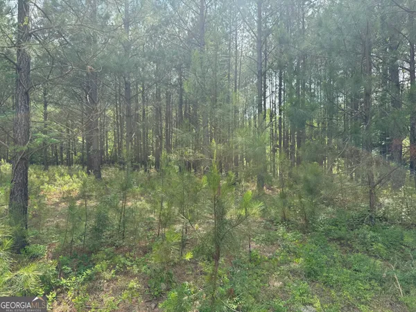$110,000 | 0 Mamie Graham Road, East Dublin, GA 31027