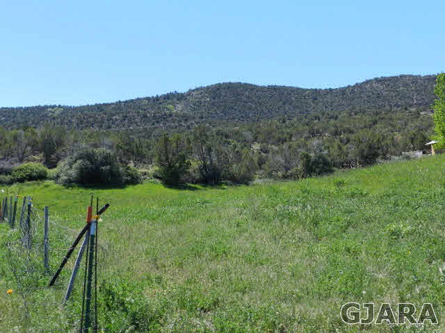 52865 KE Road Molina, CO 81646 - Photo 6 of 16 Gallery Image 6