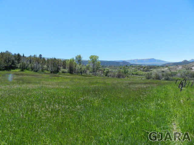 52865 KE Road Molina, CO 81646 - Photo 8 of 16 Gallery Image 8