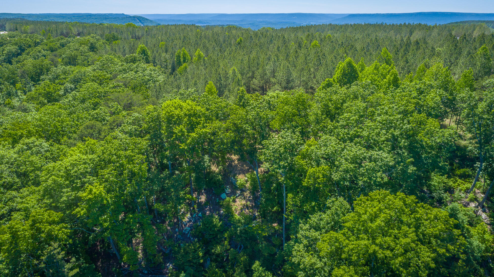 0 Split Rail Way, Unit 1349 Guild, TN 37340 - Photo 41 of 108 0 Split Rail Way - Lot 1349 HD-14