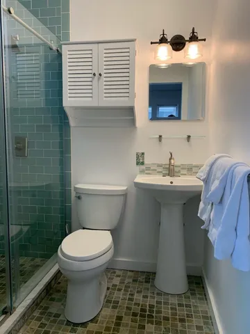a bathroom with a shower and toilet