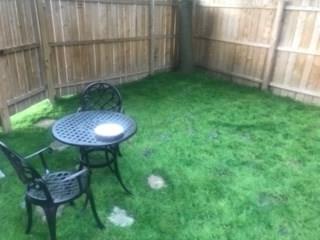 342 Service Way Pittsburgh, PA 15201 - Photo 22 of 23 GENEROUSLY SIZED REAR YARD IS LEVEL AND FULLY FENCED IN...