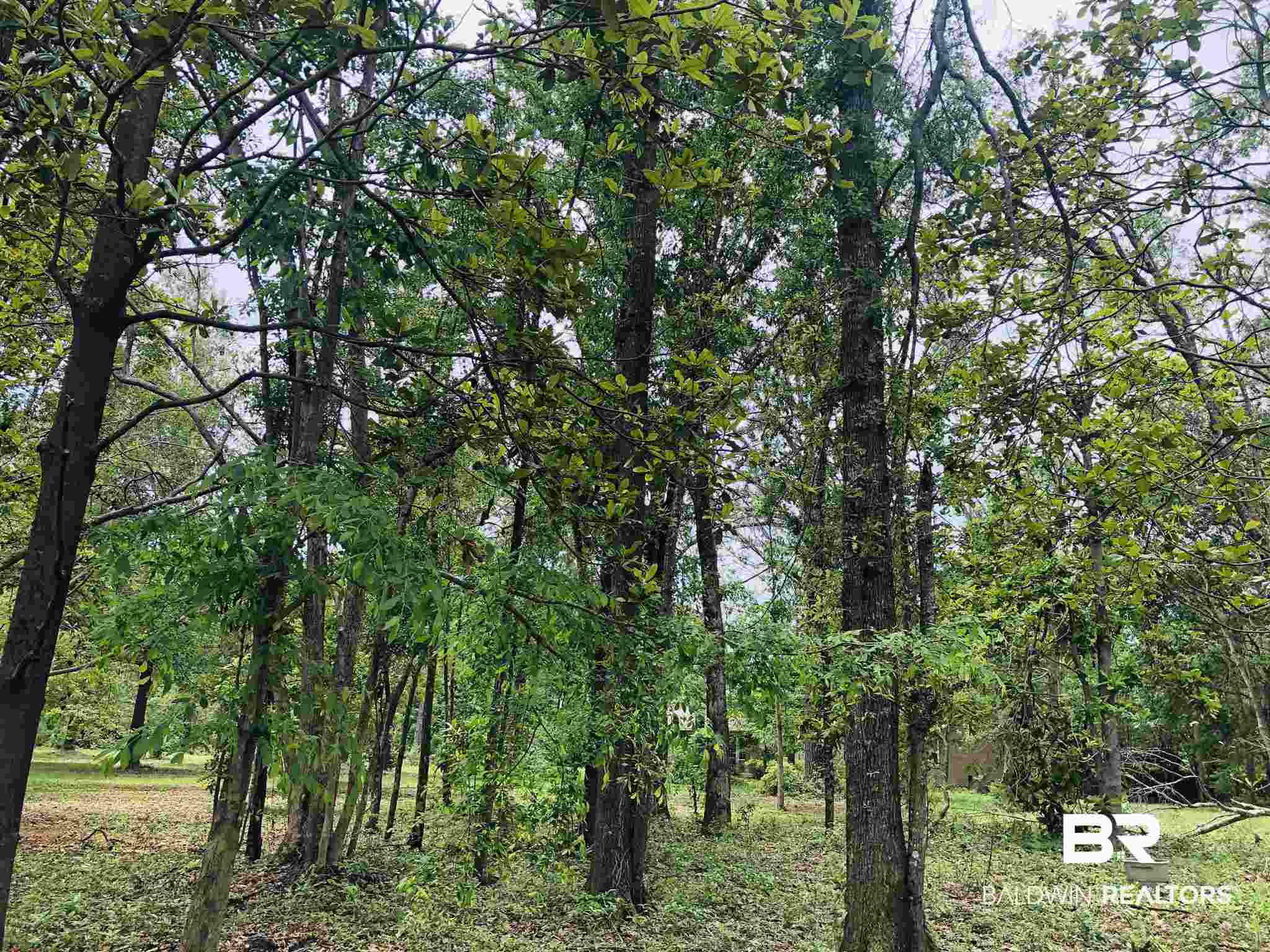 13911 County Road 49 South Foley, AL 36535 - Photo 2 of 4