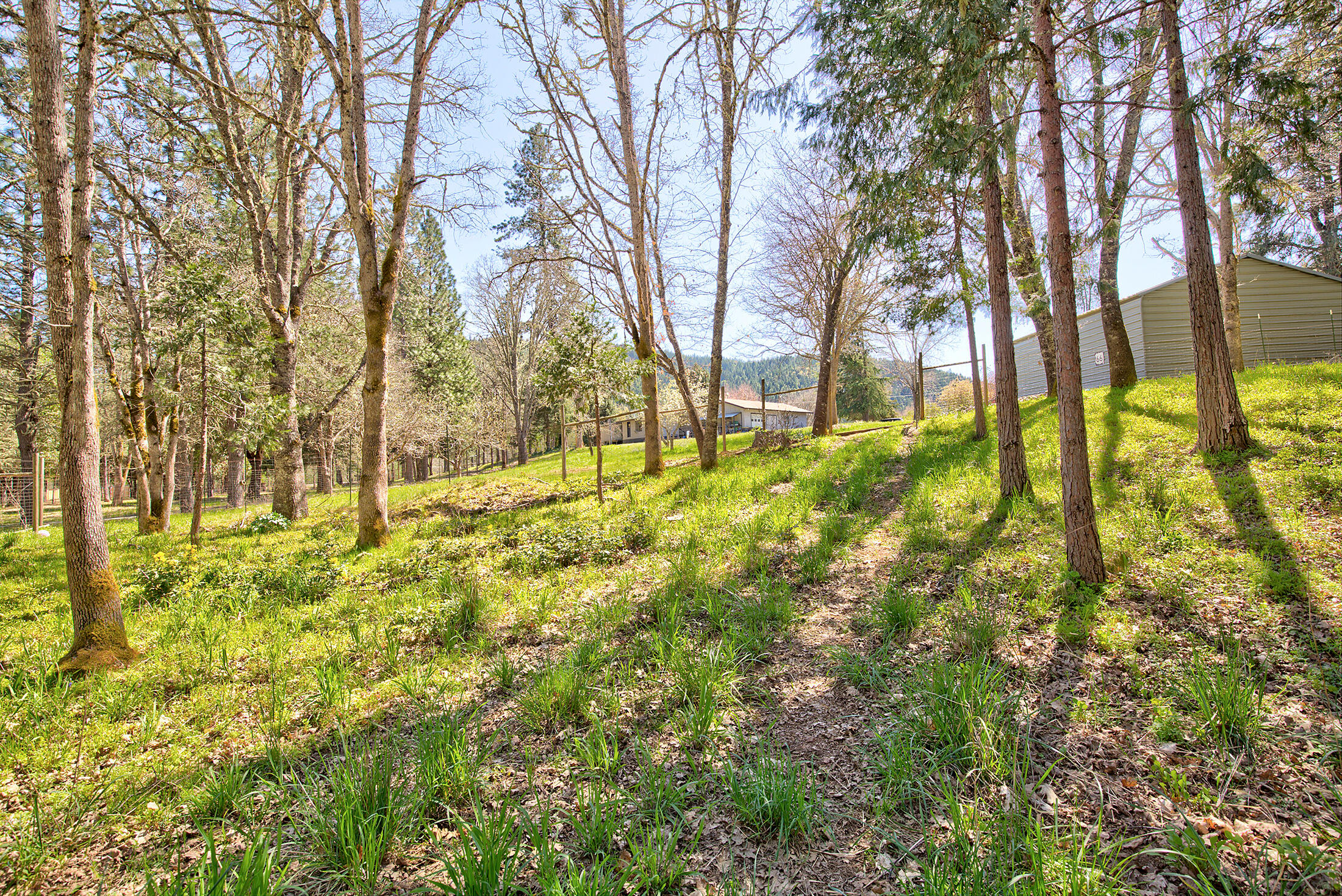 2604 Cedar Flat Road Williams, OR 97544 - Photo 46 of 46 051cedar flat