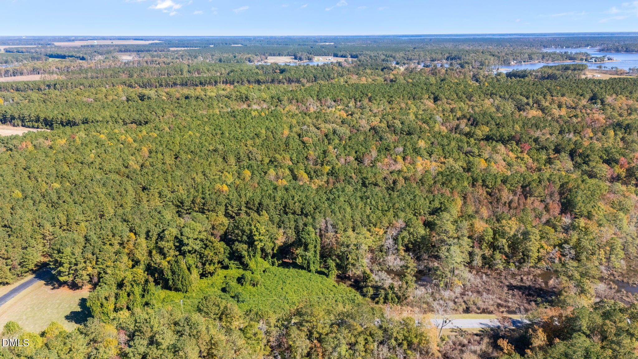 48 Tarpon Pointe Road Bath, NC 27808 - Photo 12 of 15 a view of a city with lush green forest