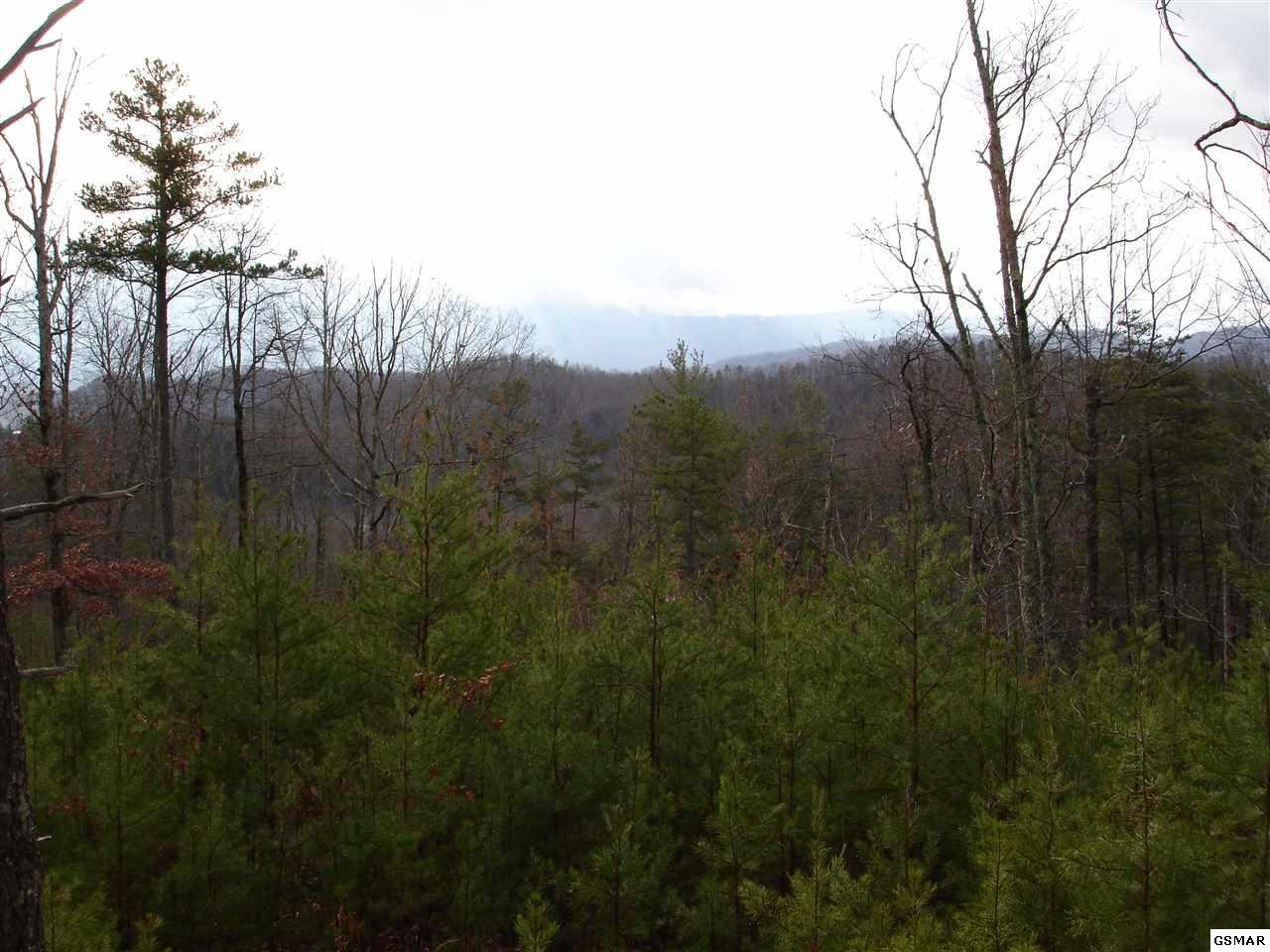0 Stinnett Ridge Road Cosby, TN 37722 - Photo 4 of 10